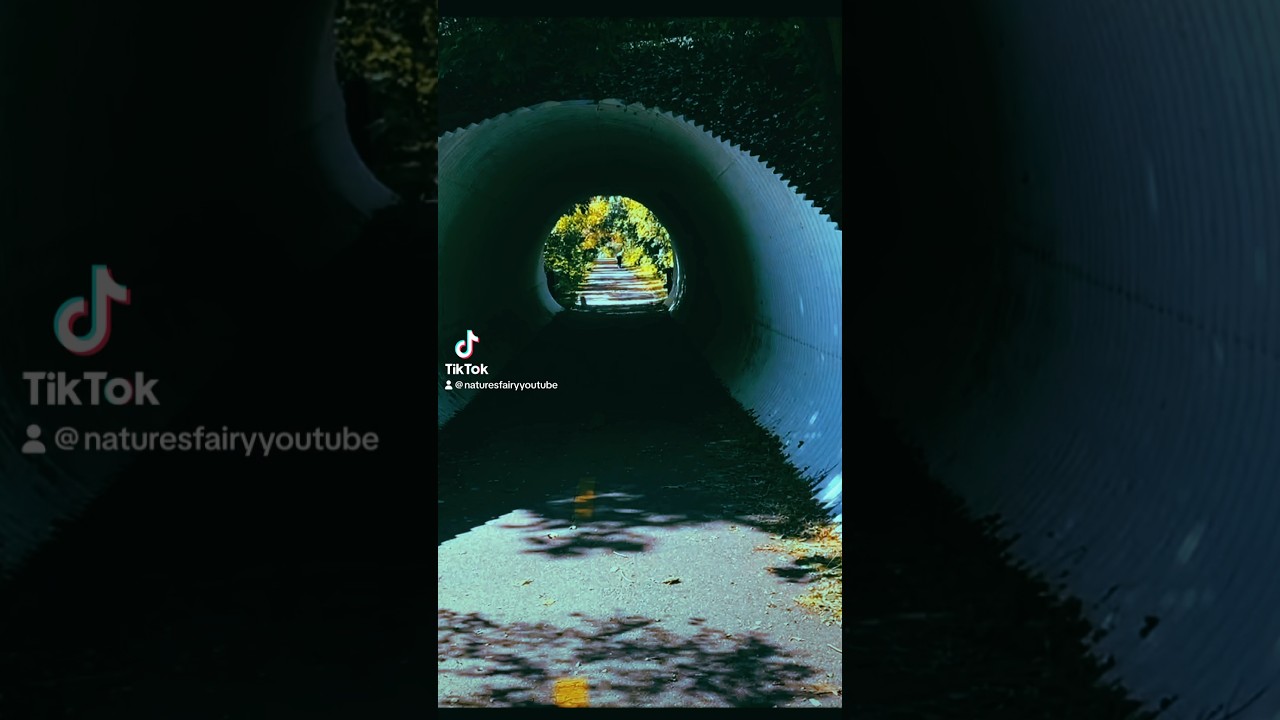 Don’t Crash - Cape Cod Rail Trail Tunnel 