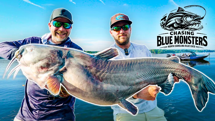 Chasing Blue Monsters - Pursuit For Record Blue Catfish - Official Short Film 