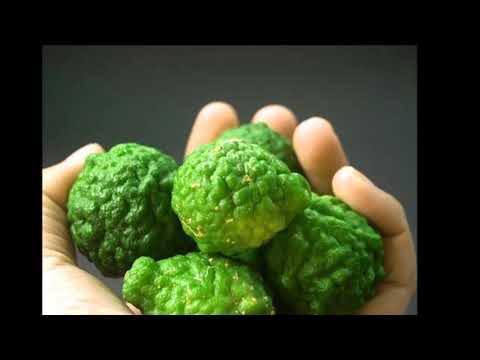 Video: Bergamot Nedir