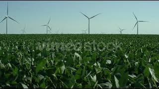 A green field with spinning windmills in the distance in slow motion