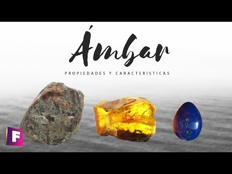 Amber Gemstone - Main characteristics, formation and fakes