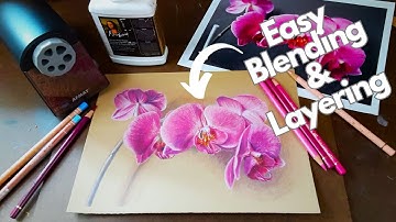 Discover the Art of Colored Pencils - Layering and Blending for Realistic Results!