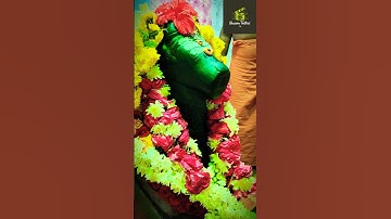 பிரதோஷ வழிபாடு🙏🏻💐காசி விஸ்வநாதர் ஆலயம், புதிய வீட்டு வசதி வாரியம், கிருஷ்ணகிரி #lordshiva #pradosham
