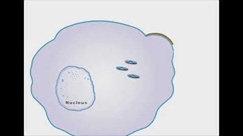 Oseltamivir And Zanamivir antiviral animation
