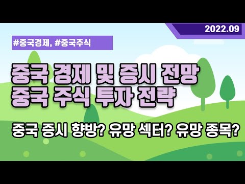 중국 경제와 주식 시장 전망, 유망 섹터와 종목 분석