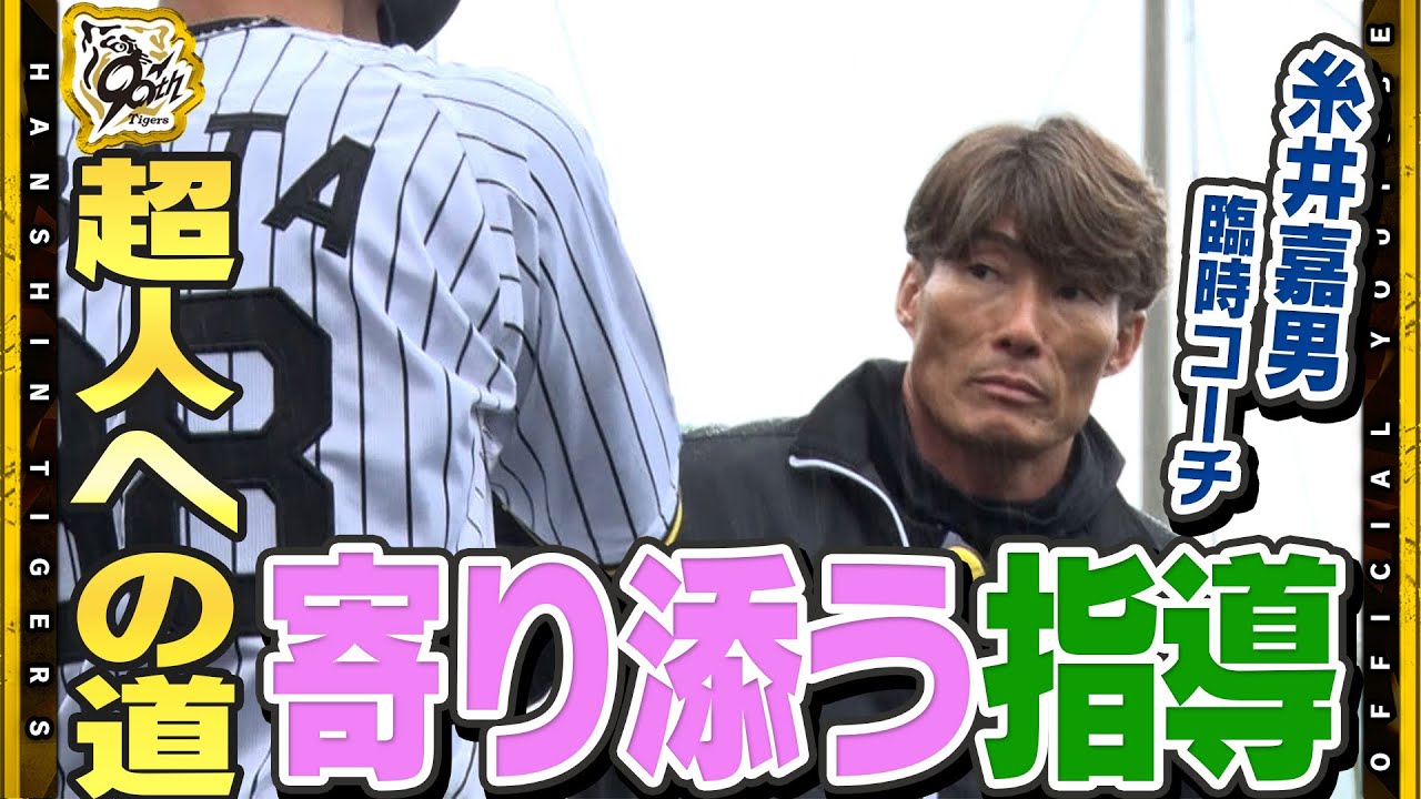 【指導】#糸井嘉男 臨時コーチが打撃指導！『練習の中で癖を』『バリエーションを増やしてシーズンで戦う』選手それぞれにあった指導で若虎たちを超人化へ！