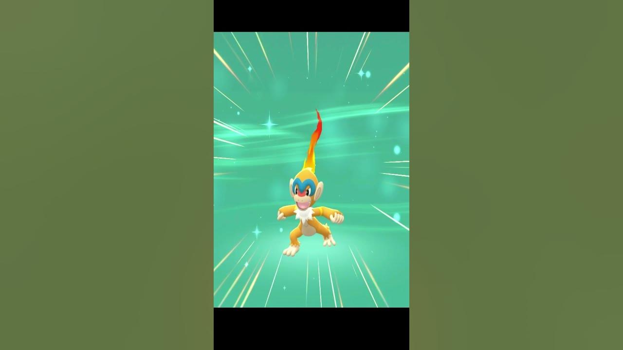 Pokemon Shining Pearl Chimchar Evolves To Monferno YouTube
