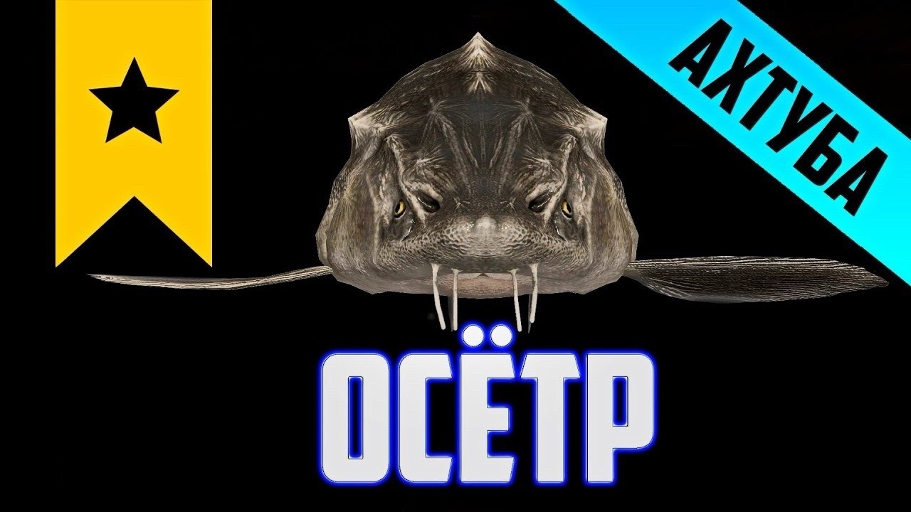 Русская рыбалка 4•Рр4•СТРИМ•МУЧАЕМ ОСЕТРА НА ПИКЕРЫ•РОЗЫГРЫШИ•РУЛЕТКА•АЛКОСТРИМ