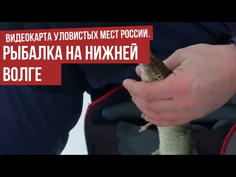 Рыбалка на Нижней Волге \ Видеокарта уловистых мест России.