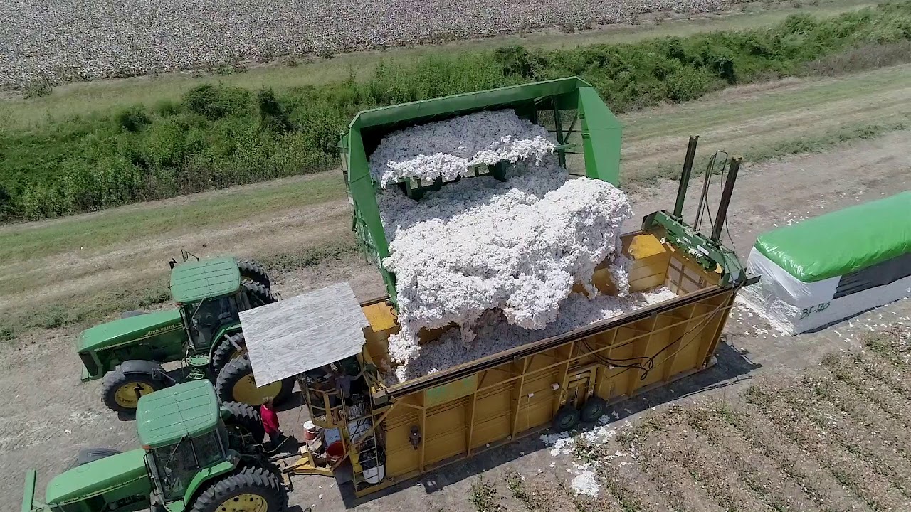 picking cotton field trip youtube