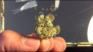 Banana Fig #8 & TropiKill by Fig Farms | Strain Review by GreenBox Grown
