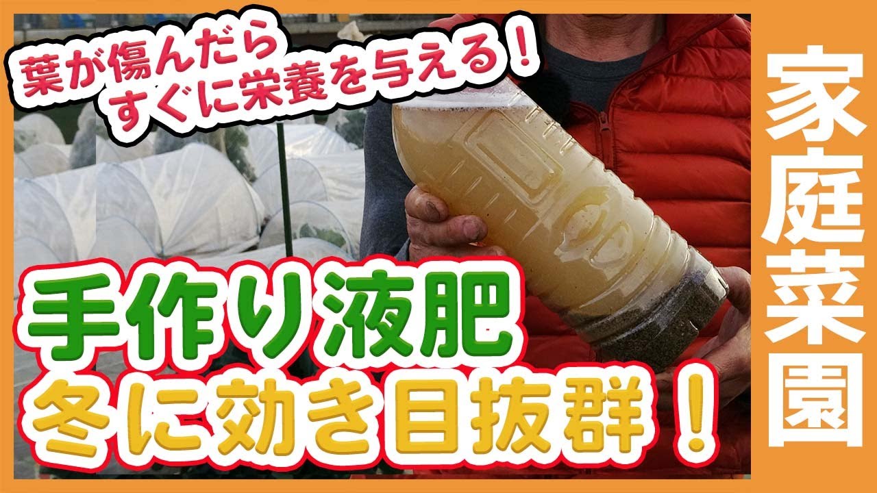 冬に効果抜群な液肥の作り方！家庭菜園や農園で簡単に作れて根張が改善する畑仕事で便利な液肥の使い方もご紹介【農家直伝】