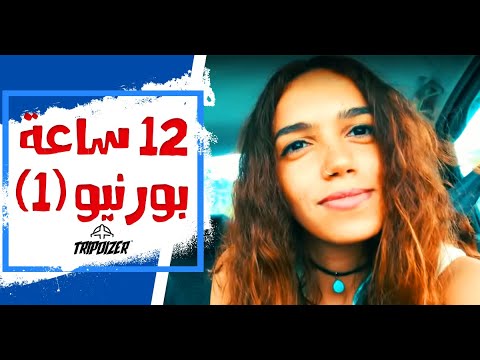 فيديو: أفضل الرحلات في بورنيو