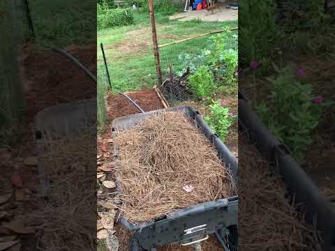 Video: Mulchprobleme im Garten - Häufige Probleme im Zusammenhang mit Mulch