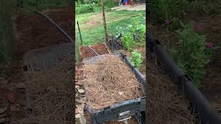 Problems with some garden mulch