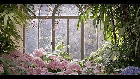 Using Biophilic Design to Make Space for Future Generations | Chez Laurence | EarthX