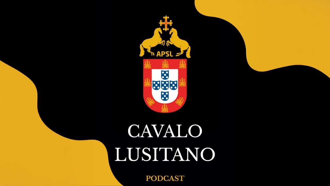 Filipe Pimenta | CAVALO LUSITANO #22