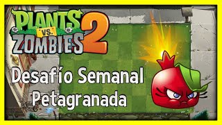 Planta De La Semana Petagranada - Plants Vs Zombies 2
