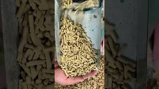 Ultimate Feed Pellet Machine Review | Save Your Farm Money in 2026