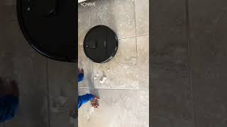Roborock qv35a review#roborock #vaccum#review