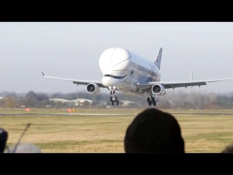 Video: Det største flyet styrter i verden. Det verste flyet styrter i verden