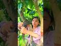 How China Grows Thousands of Fruit Trees Without Seeds 🍎🌳 #farmer #shorts