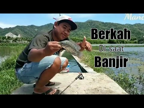 mancing-nila-pakai-pancing-jaring??-langsung-dapet-babon
