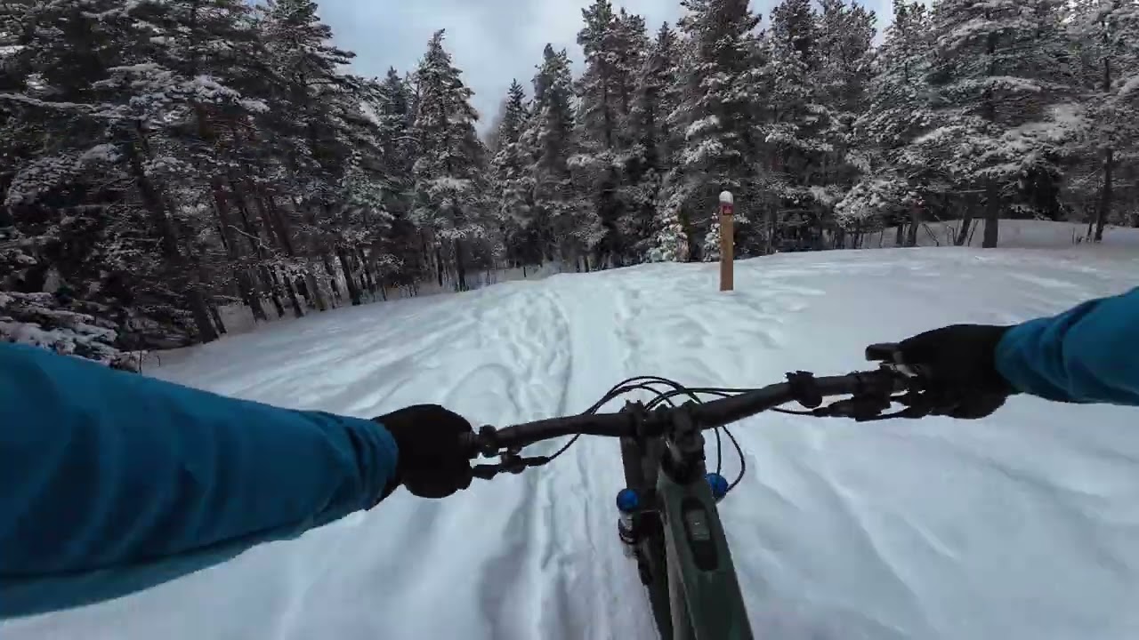 Helsinki keskuspuisto etelä e-mtb talviajot