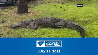 11-Foot Gator Terrorizes an NC Family