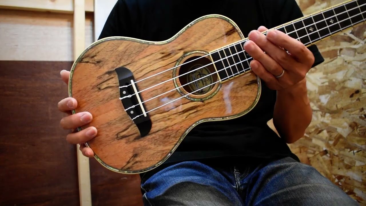 Oscar Schmidt OU7 - guitarshoptantan （ギターショップタンタン）