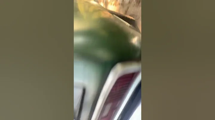 1970 Chevy Nova with 396ci Big Block Comp Cams Hyd Roller TH400 2.5” Dual Exhaust MagnaFlow Mufflers