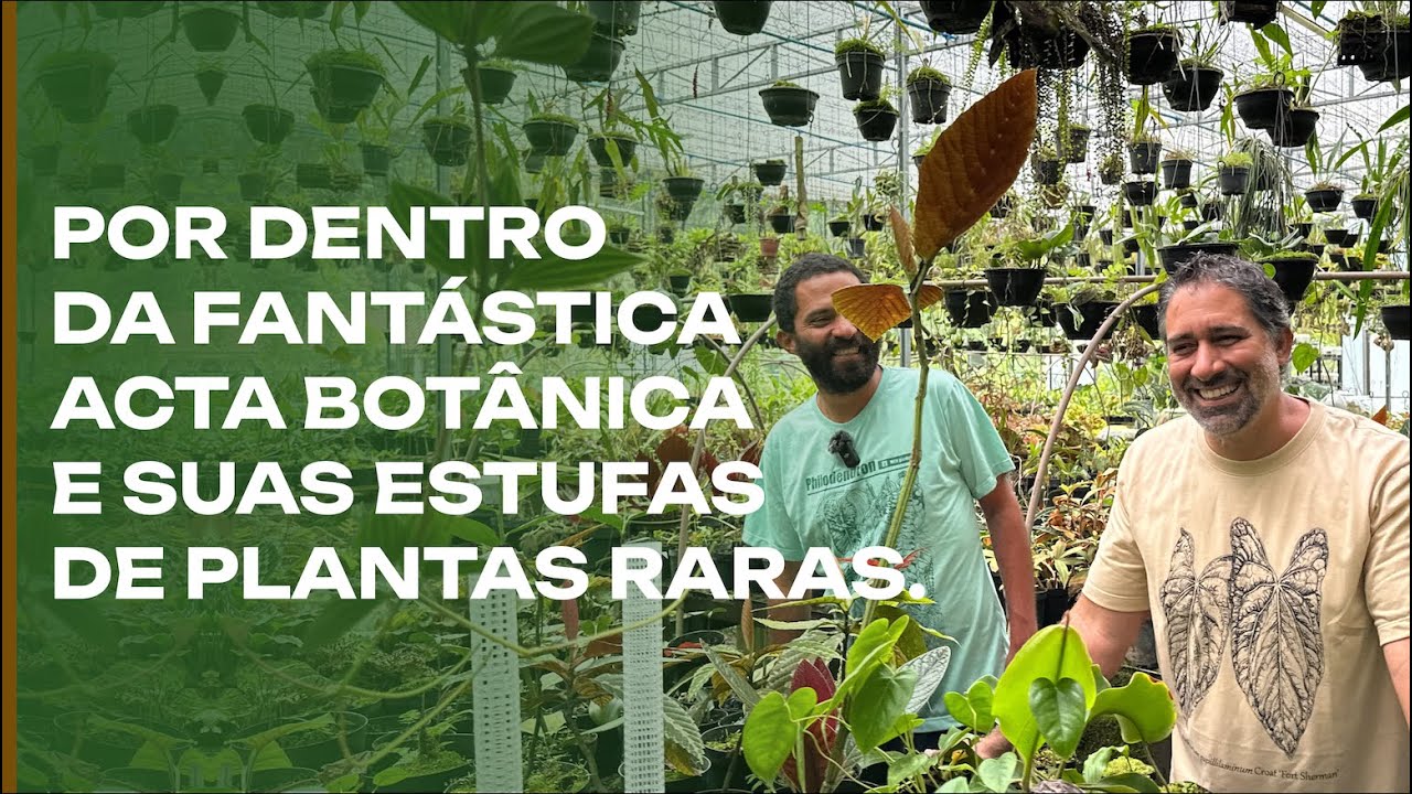 O MAIOR produtor de plantas raras do Brasil: a fantástica Acta Botânica.