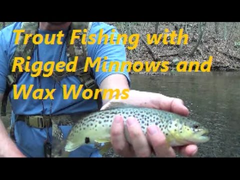 Wax Worms Vs Red Worms, Fishing For Panfish 