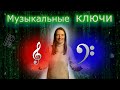 Музыкальные ключи: скрипичный, басовый, ключи ДО