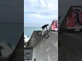 Chill on the beach on the bike🍹 #bike #mtb