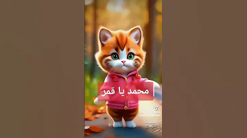 محمد يا قمر 