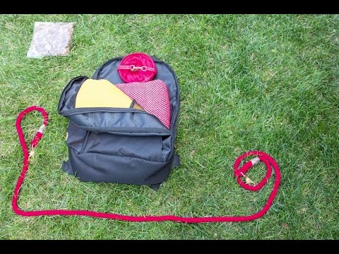 Video: 14 Essentials för en perfekt picknick med din hund