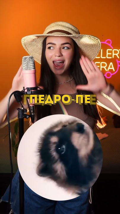 Педро Педро Педро НА РУССКОМ🦝 Pedro Pedro Pedro💃🏻 - YouTube
