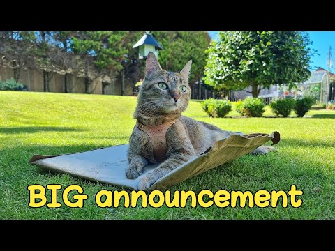 BIG announcement ❤️