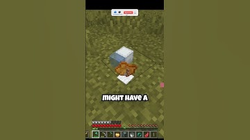 MINECRAFT BUT... BLOCK DROPS ARE RANDOM! | #shorts #minecraft #challenge