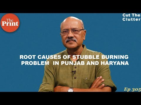 Behind India’s winter smog: not stubble-burning, but free water, power & mostly STUPIDITY | ep 305