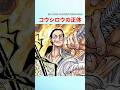 【最新1130話】コウシロウの正体って...【ワンピース】#ワンピース #ワンピースの反応集まとめ