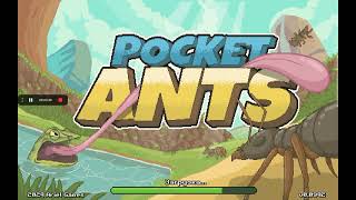 pocket ants