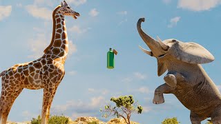 Elephant vs Giraffe Water Bottle Fight screenshot 5