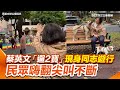 蔡英文同志遊行