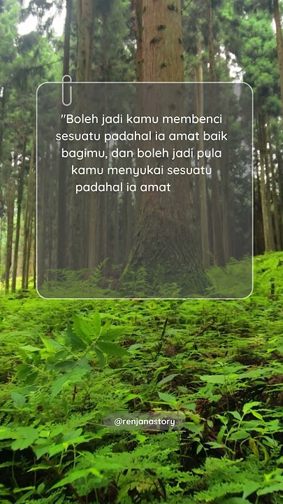 Ayat Al Qur'an Penenang Hati #storywa #motivasi #alquran #sholawat