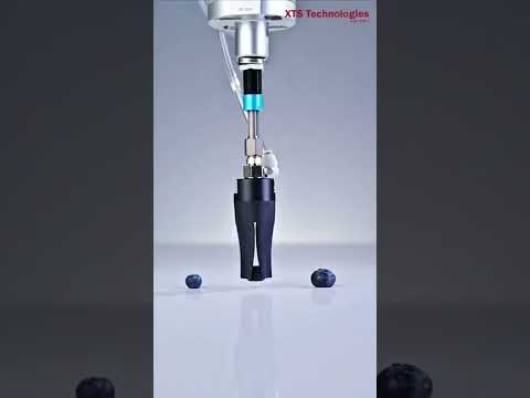 Different size robotic
