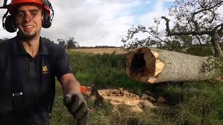 #RangerLife Dealing with two near dead Beech trees - THE CROWN ATOMISED!