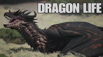 I Played As A Dragon For A Week And This Is What Happened...