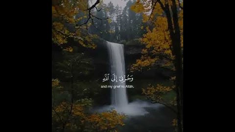سورة يوسف ، مشاري فالح